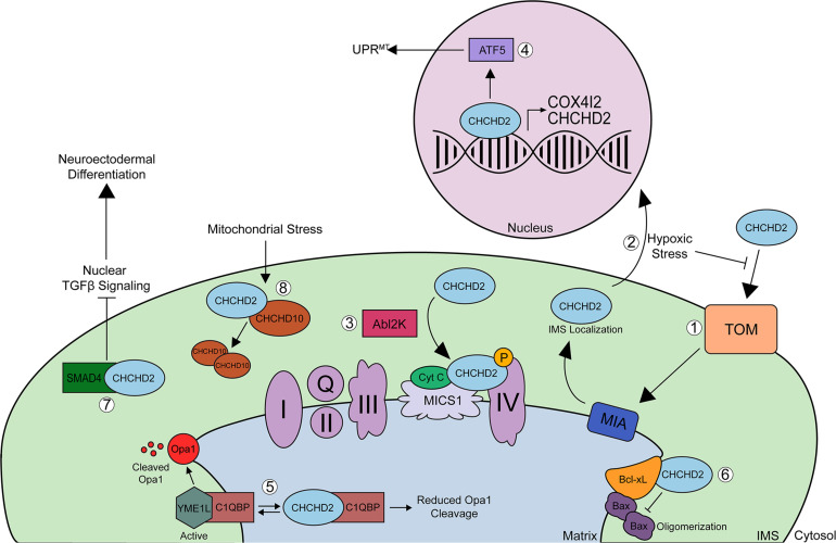 FIGURE 2