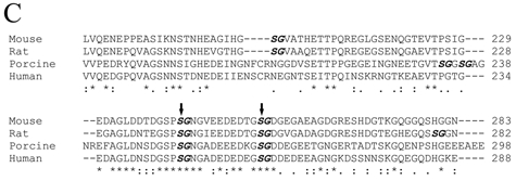 Figure 3C.