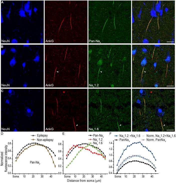 FIGURE 3