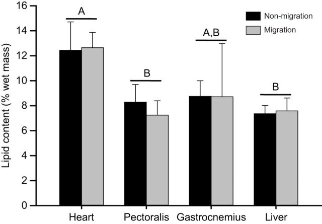 Fig. 3. Seasonal variation in percent lipid content. Mean (±s.e.m.) total lipid content in each tissue was measured in the heart, pectoralis, gastrocnemius and liver. Non-migration include birds during breeding (n=2) and pre-migration (n=5), while migration includes birds during spring (n=5) and fall migration (n=4). Different letters indicate significant differences in lipid content between the heart, pectoralis, gastrocnemius and liver determined by one-way ANOVA and pair-wise comparisons.
