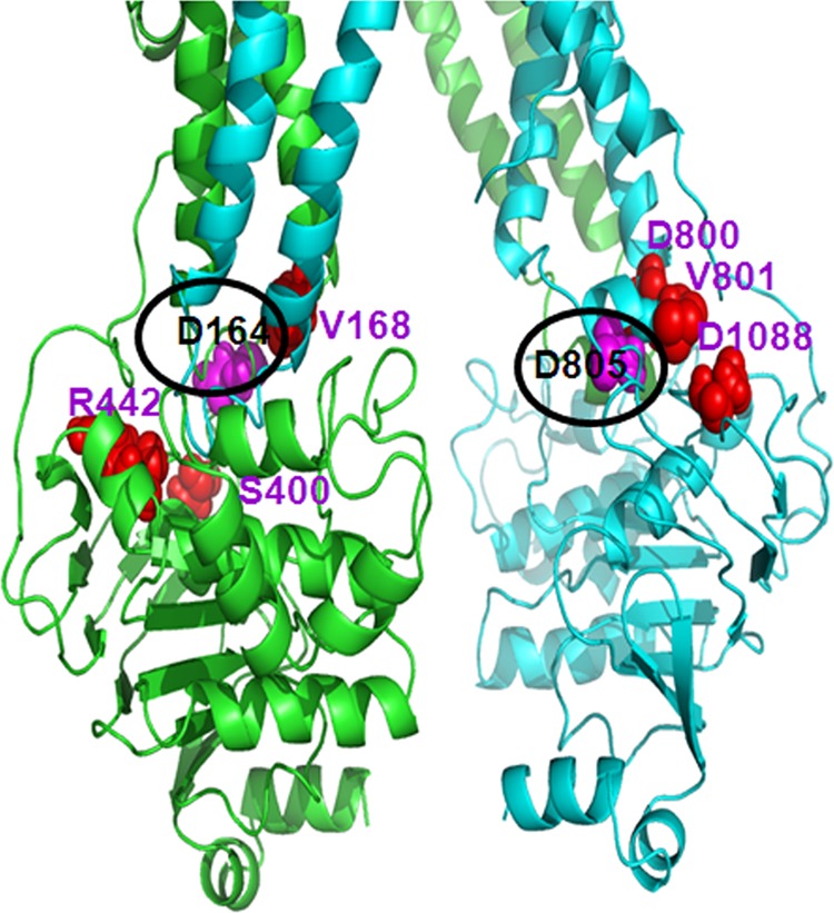 FIGURE 11.