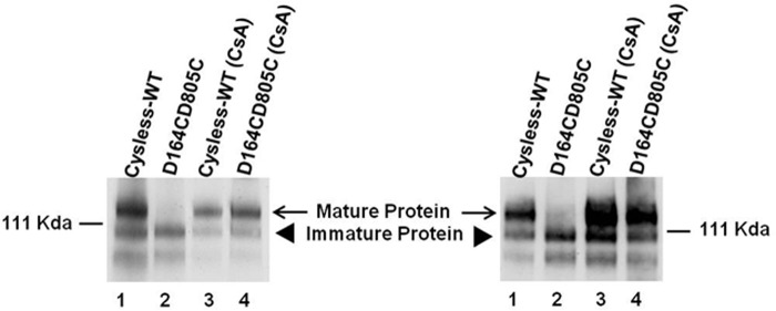 FIGURE 10.