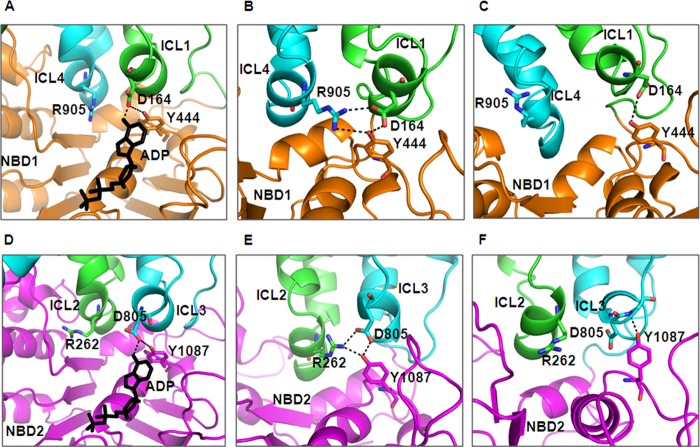 FIGURE 1.