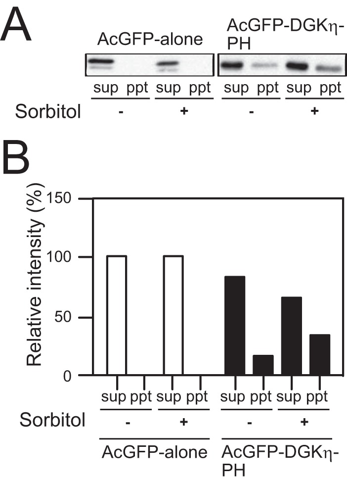 FIGURE 9.