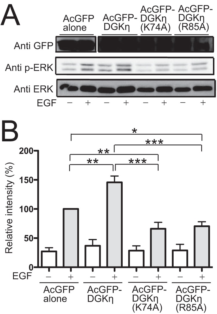 FIGURE 12.