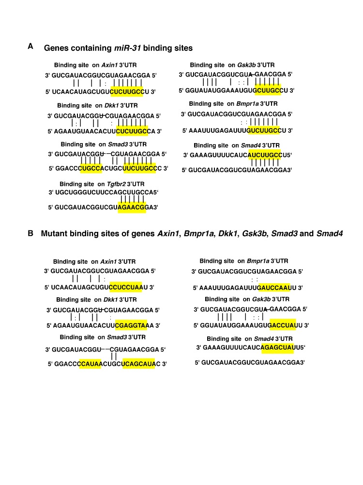 Figure 6—figure supplement 1.