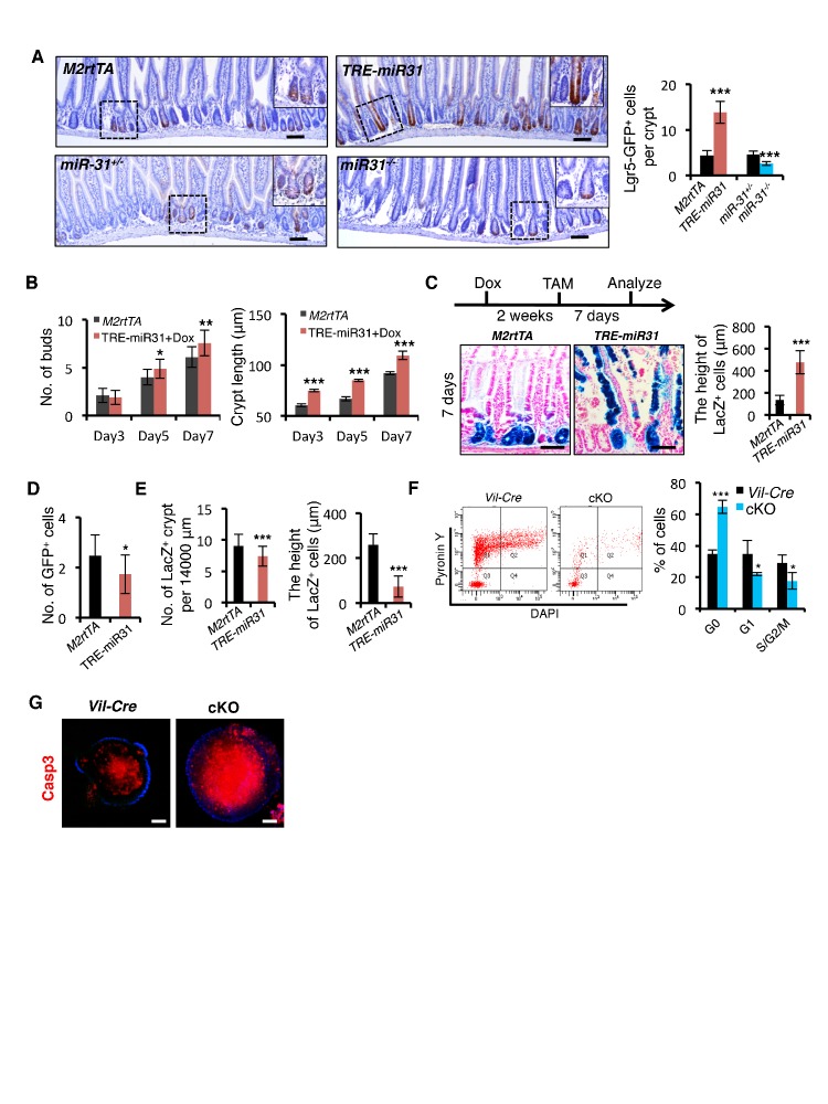 Figure 2—figure supplement 1.