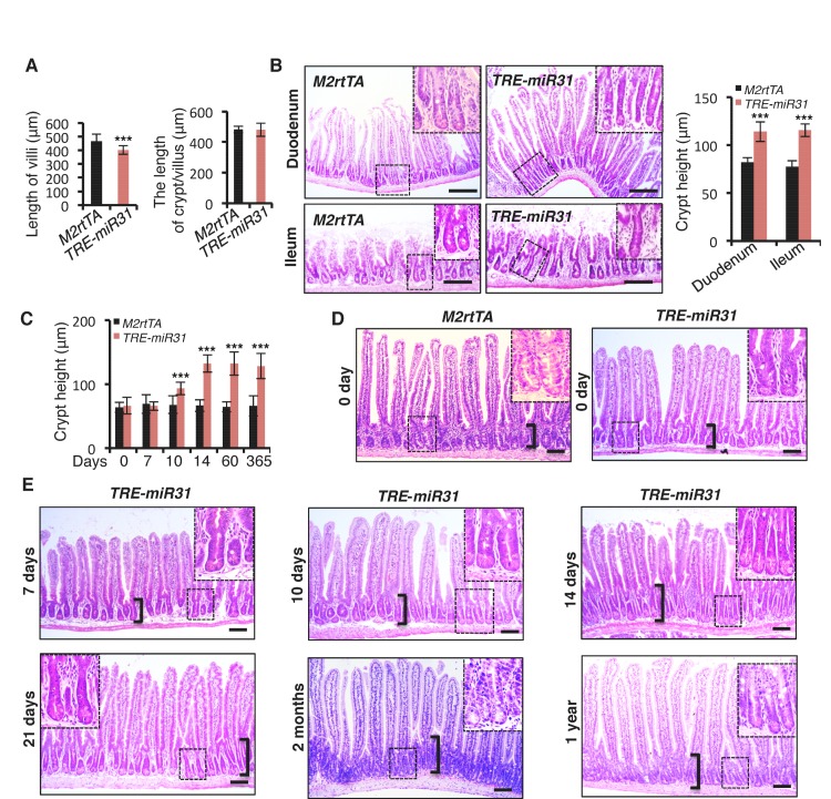 Figure 1—figure supplement 2.