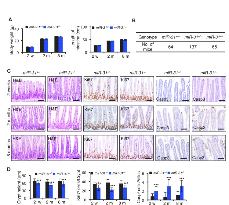 Figure 1—figure supplement 5.