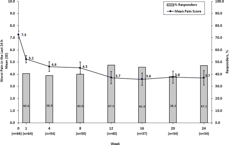 After cryoablation, worst pain in the last 24 hours and percentage of responders with stable medication use from week 0 to week 24 for the intention-to-treat population. SE = standard error.