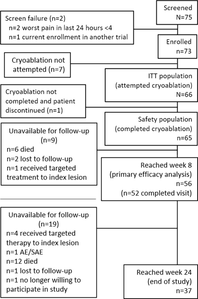 Participant disposition in the MOTION study. AE = adverse events, ITT = intention-to-treat, SA = serious adverse events. See Appendix E1 (supplement) for information on nine participants who did not undergo cryoablation.