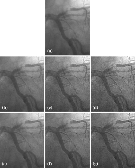 Fig. 6