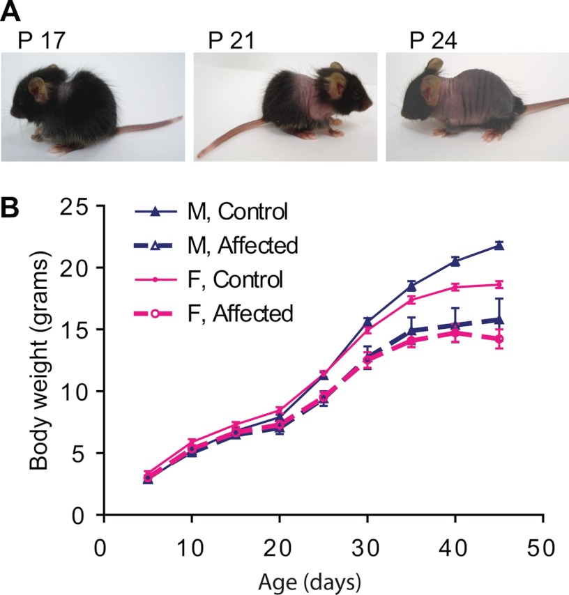 FIGURE 1.