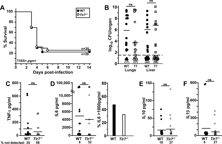 FIG 6