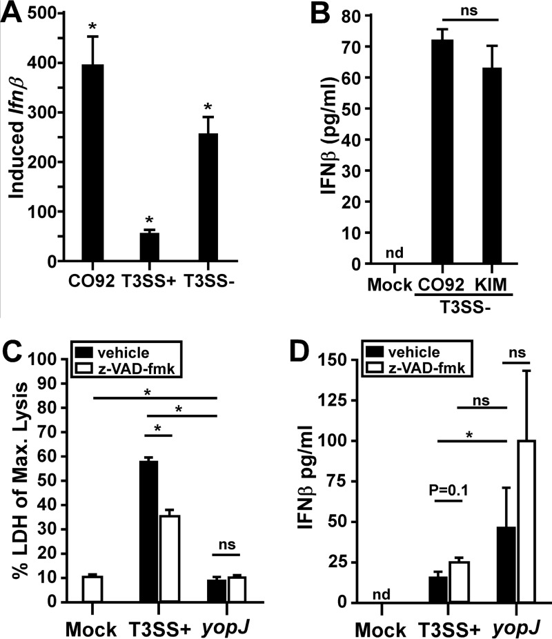 FIG 3