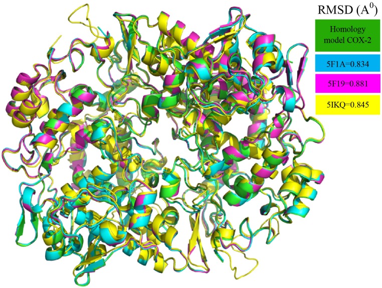 FIGURE 1
