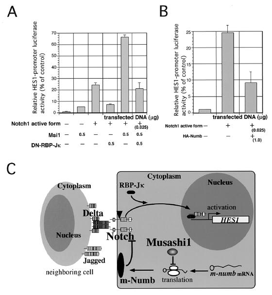 FIG. 6