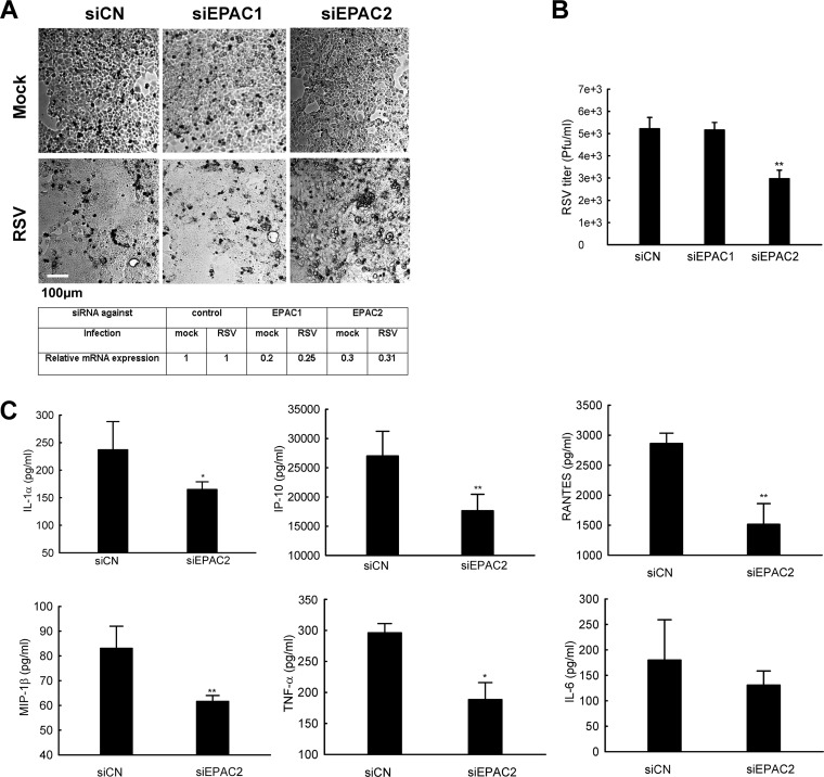 FIG 6