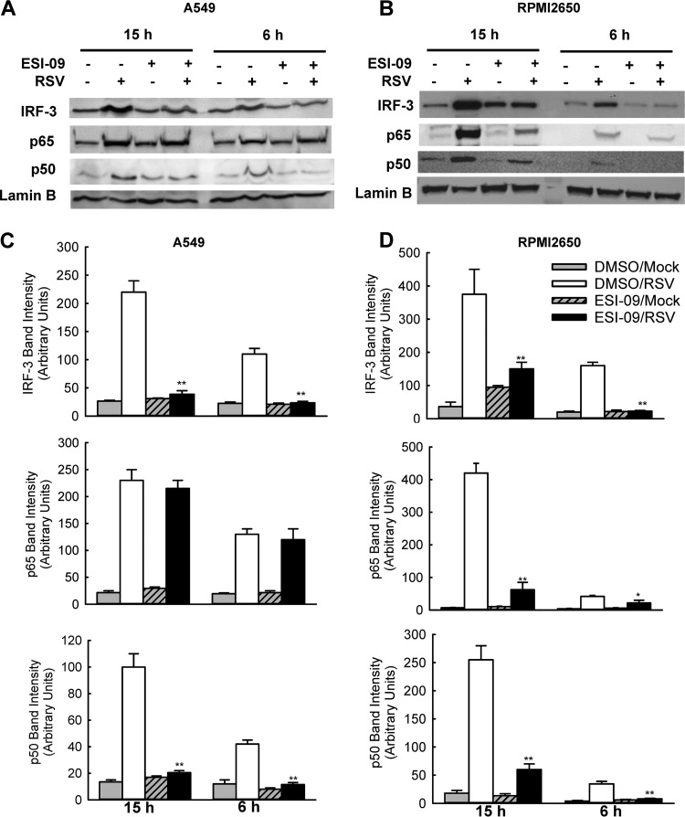 FIG 4