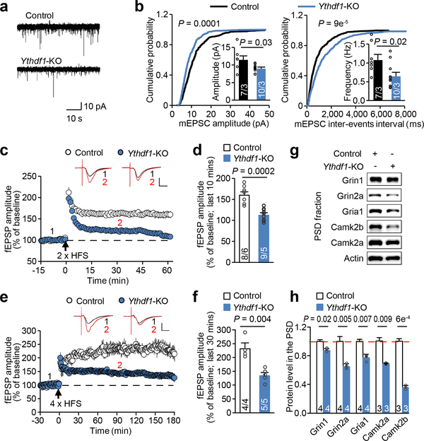 Figure 2 |
