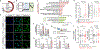 Figure 4 |