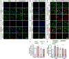 Extended Data Figure 9 |