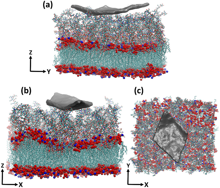 Figure 5.