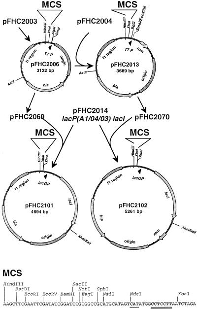 FIG. 1.