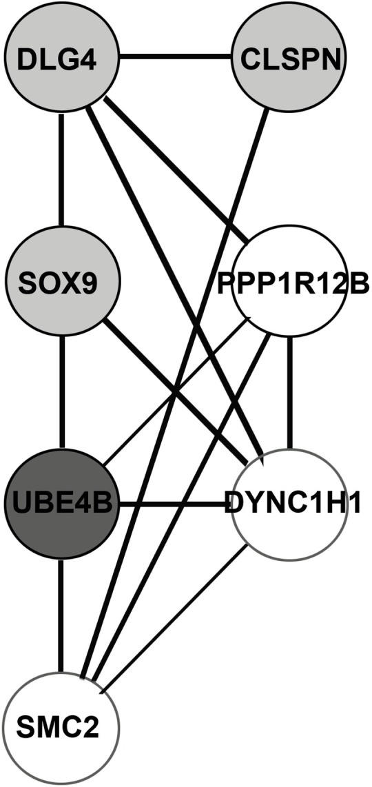 Fig 3