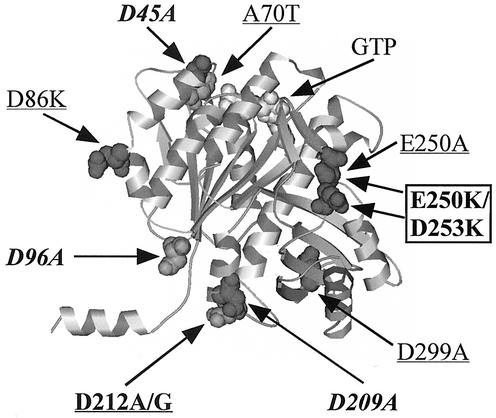 FIG. 8.