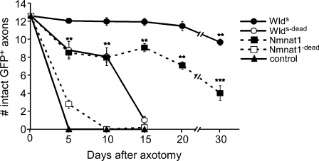 Figure 3.