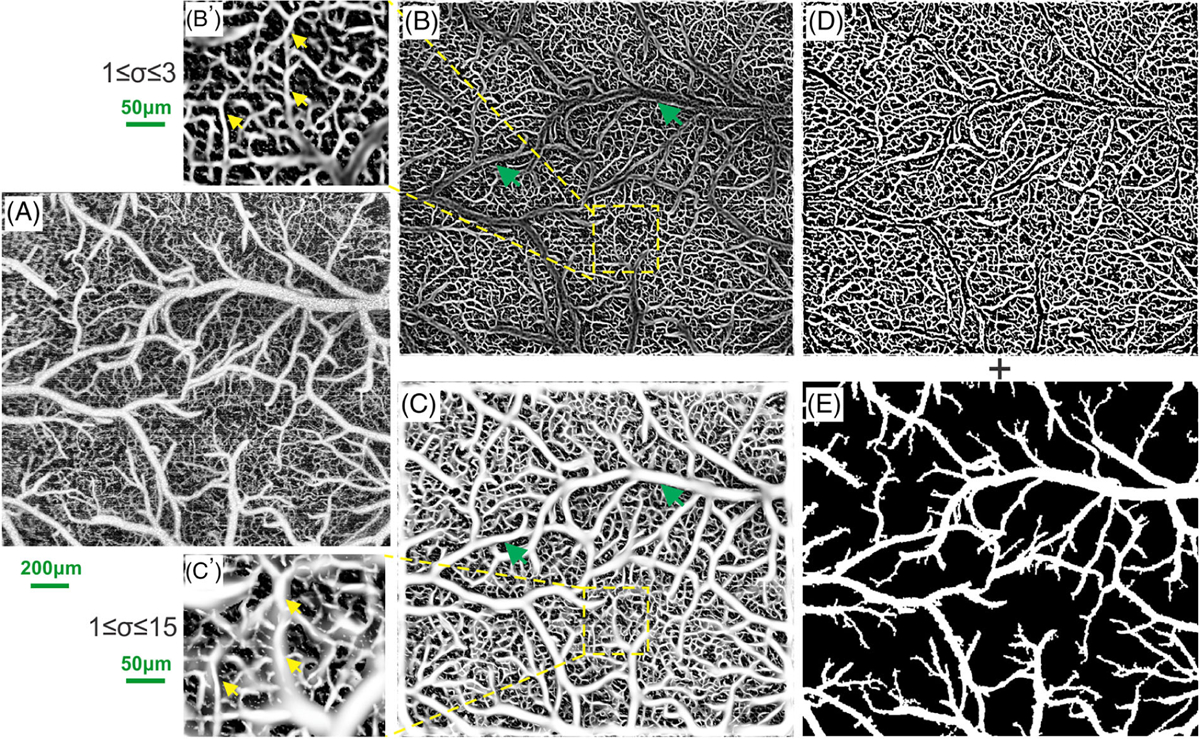 FIGURE 2