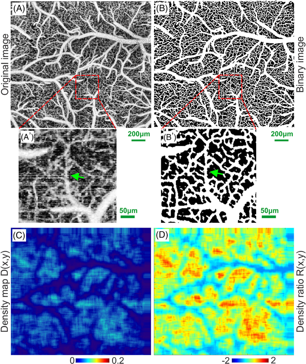 FIGURE 3