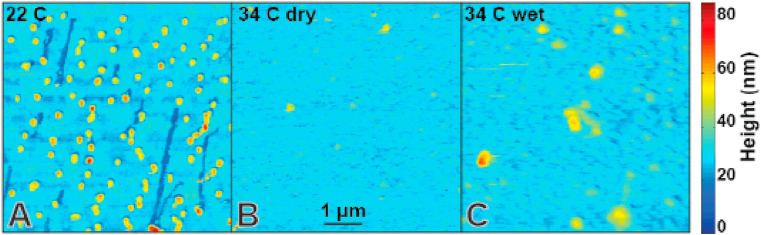 Fig. 1