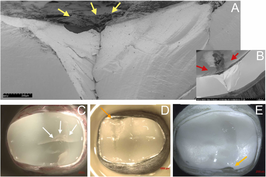 Fig. 6 –