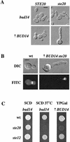 FIG. 2.