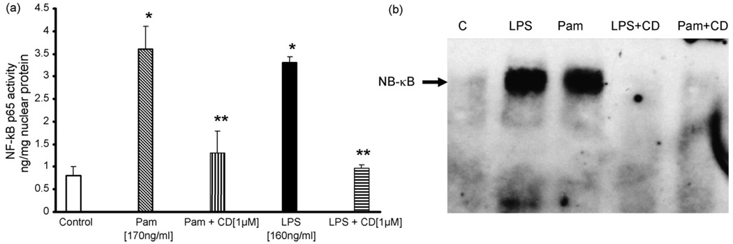 Fig. 5