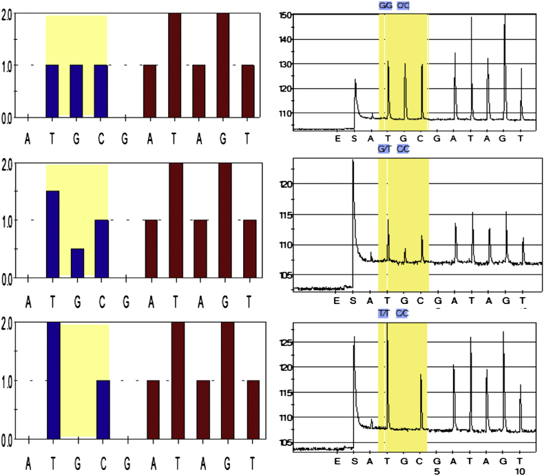 Fig. 3