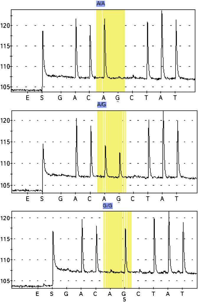 Fig. 6