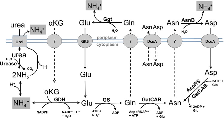 FIG 5