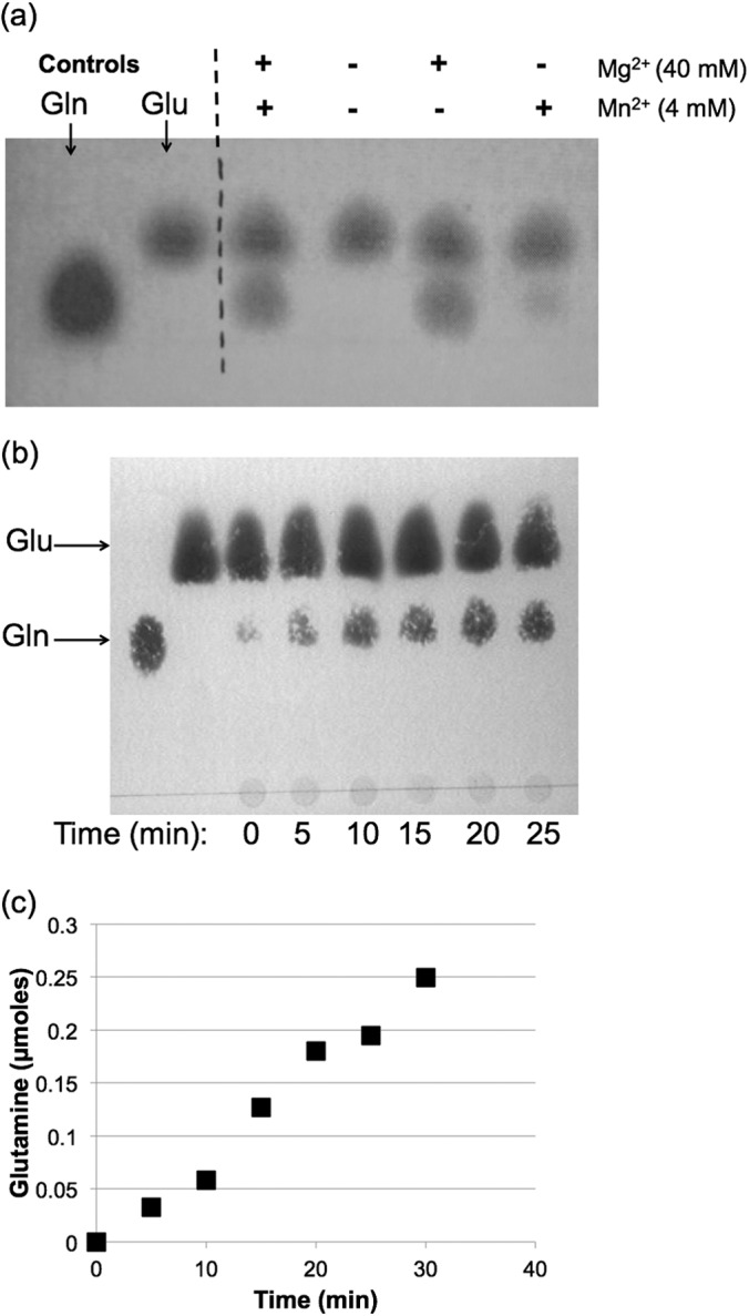 FIG 2