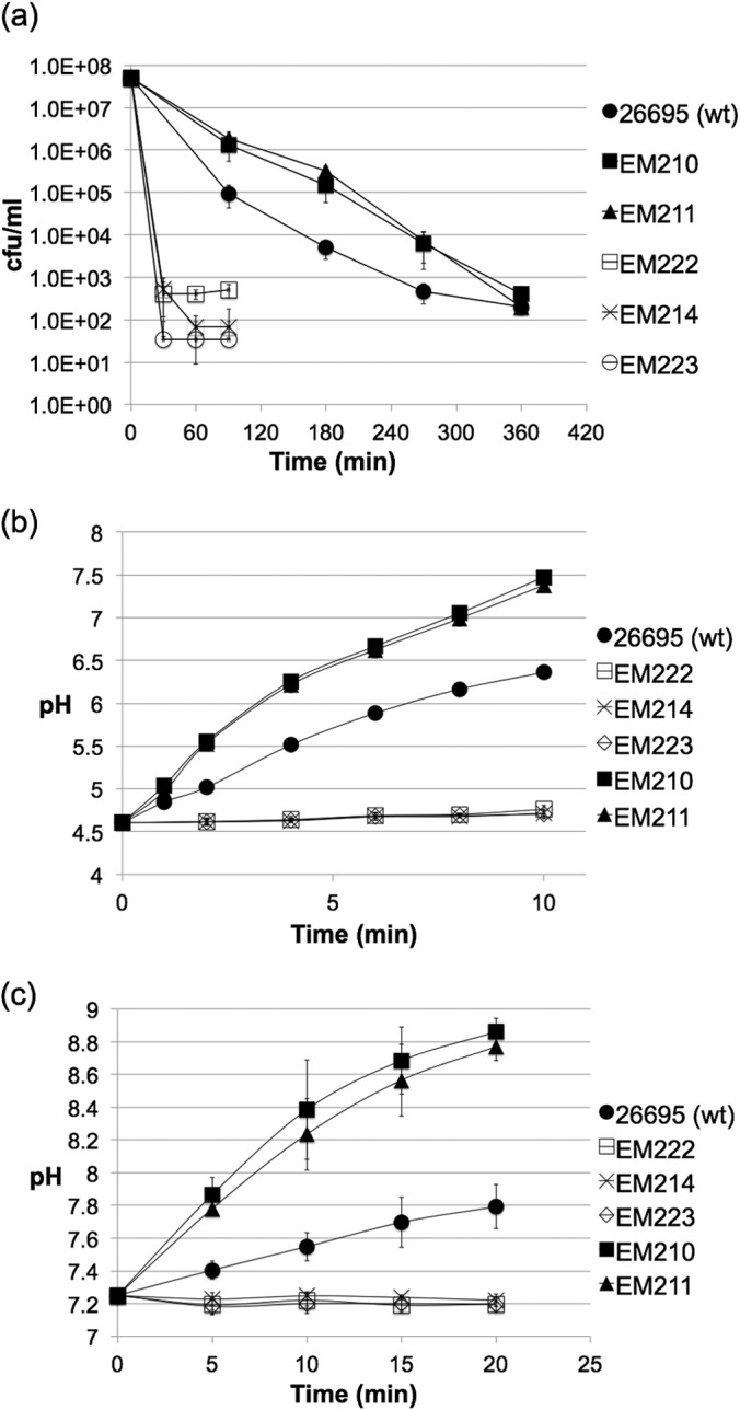 FIG 3