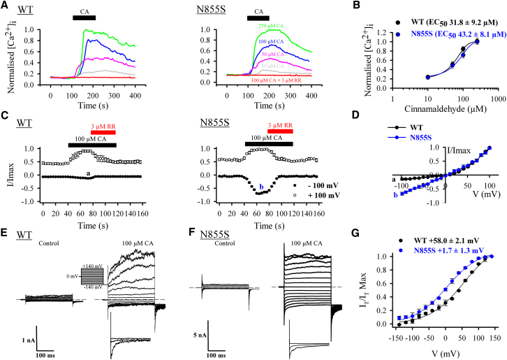 Figure 4