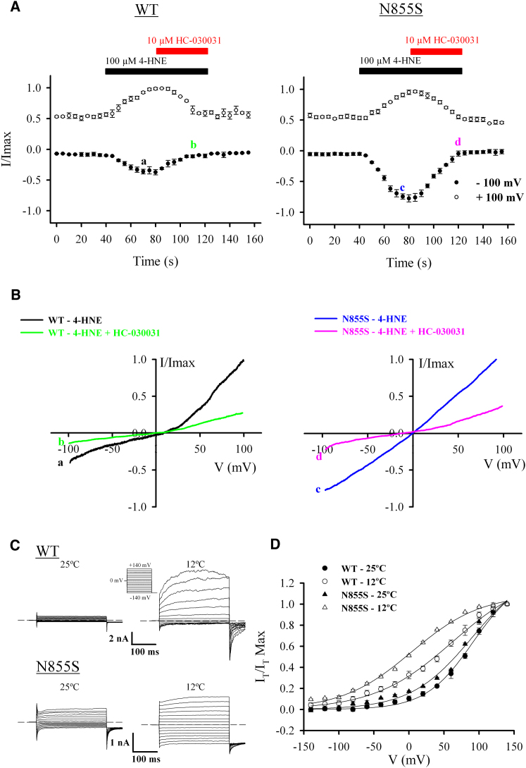 Figure 5