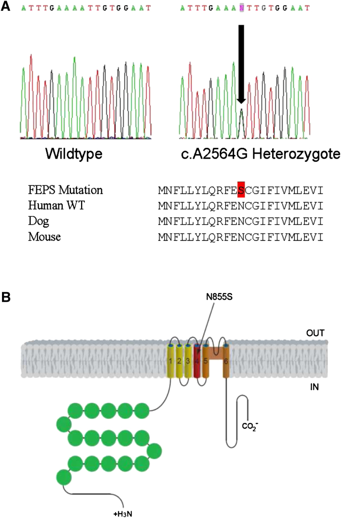 Figure 2