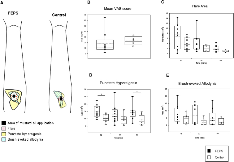 Figure 3