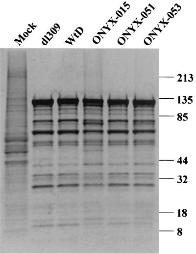 FIG. 7