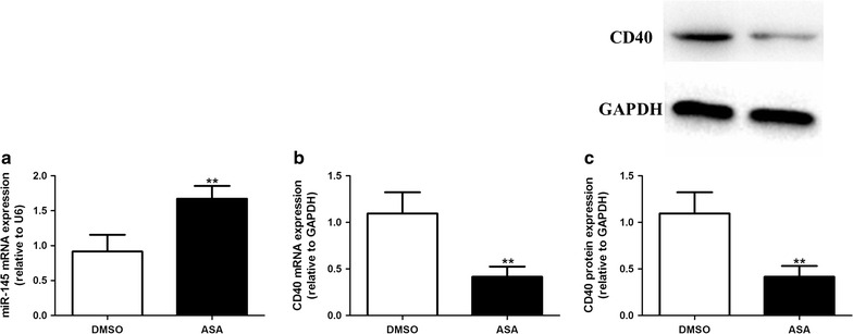 Fig. 6