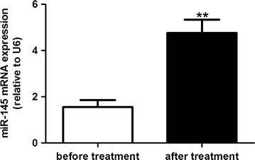 Fig. 8