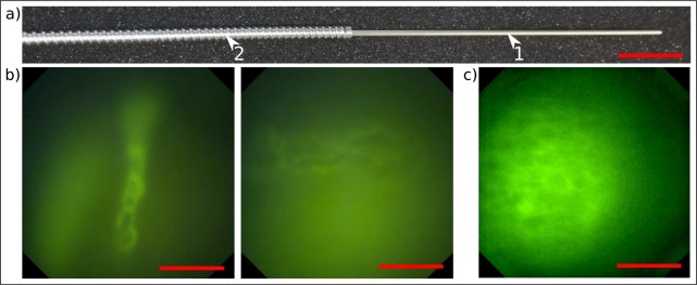 Fig. 10